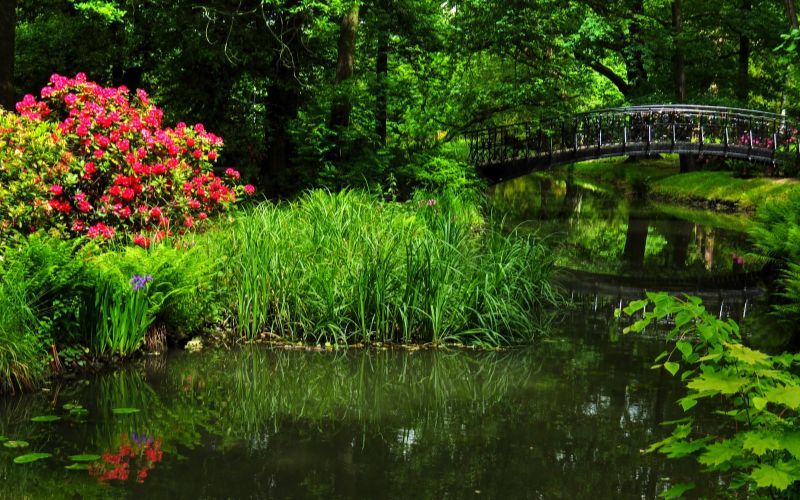 park szczytnicki we wrocławiu